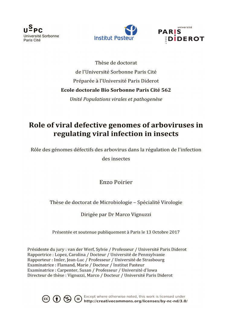 Poirier Enzo Va2 | PDF | Virus | Mutation