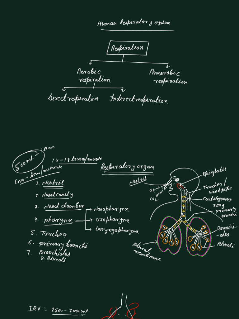 Biology 02.04.26 | PDF