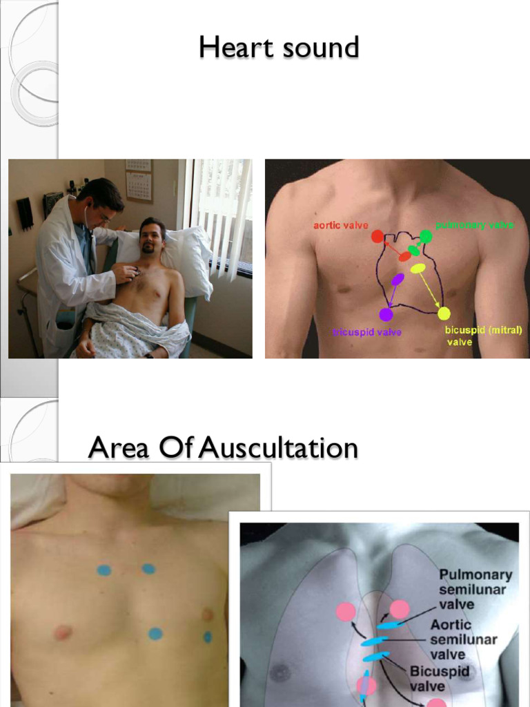 Ch.5- Heart Sound (1) | PDF | Heart Valve | Heart