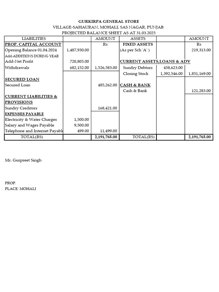 Gurkirpa General Store Balance Sheet as on 31st Mar 2025 | PDF | Fixed ...