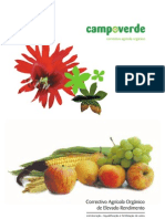 Folheto Campoverde