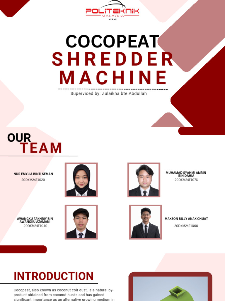 Final Year Project Presentation | PDF