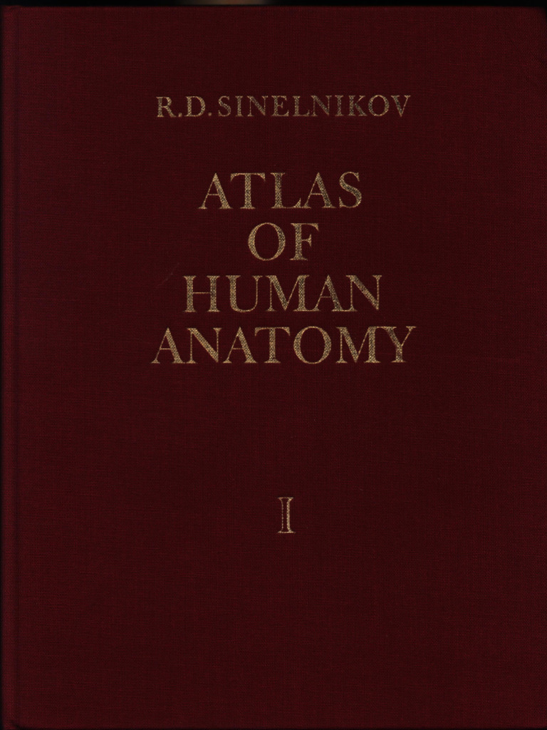Sinelnikov - Vol. 1 | PDF