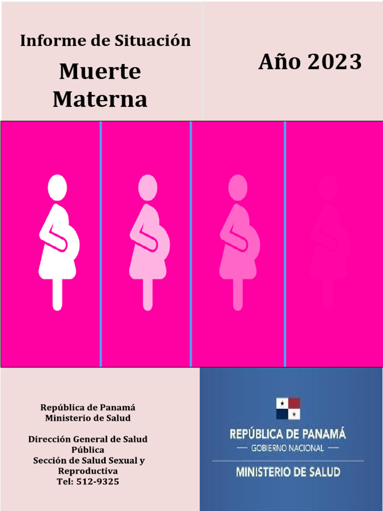 Informe Oficial de Muerte Materna 2023 Final | PDF | Muerte materna ...