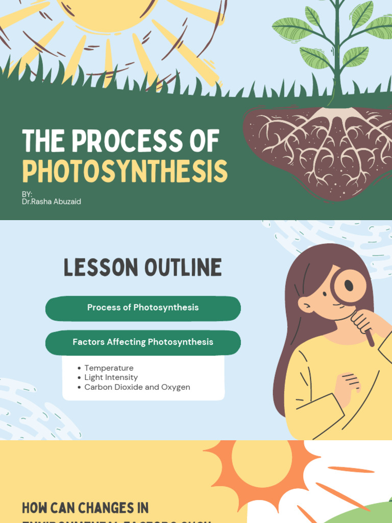 The Process of Photosynthesis-Demo | PDF | Photosynthesis | Chloroplast