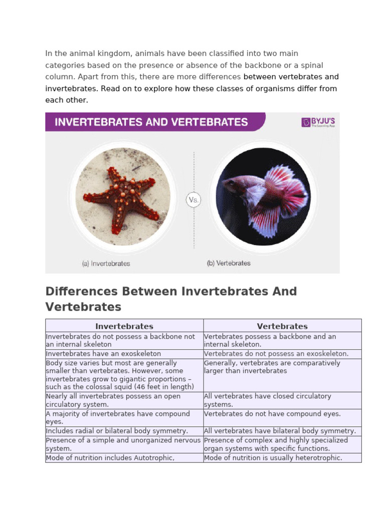 Differences Between Invertebrates and Vertebrates | PDF | Invertebrate ...