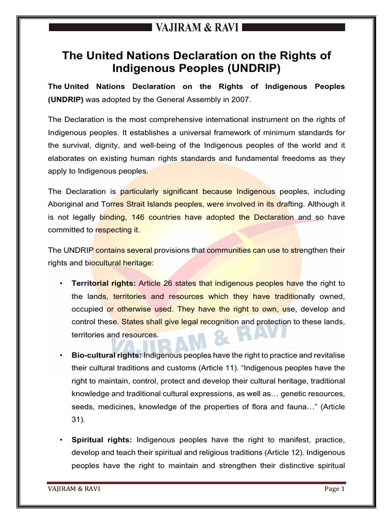 UNDRIP | PDF | Indigenous Peoples | Justice