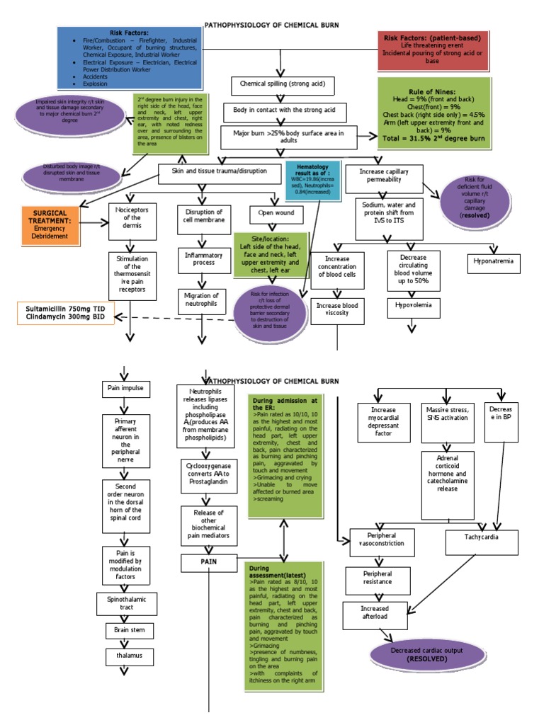 Pathophysiology of Burn Pain Burn
