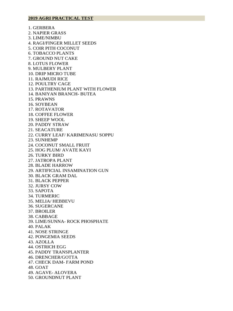 2019 Practical Test | PDF