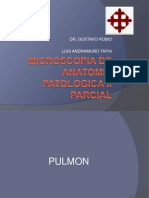 Microscopia de Anatomia Patologica II Parcial