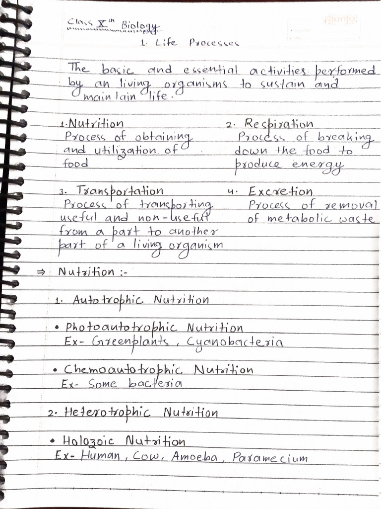 Life processes notes | PDF