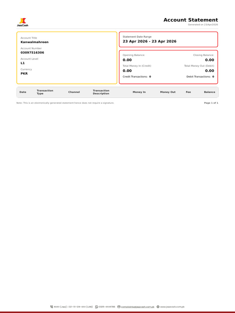 AccountStatement（2） | PDF
