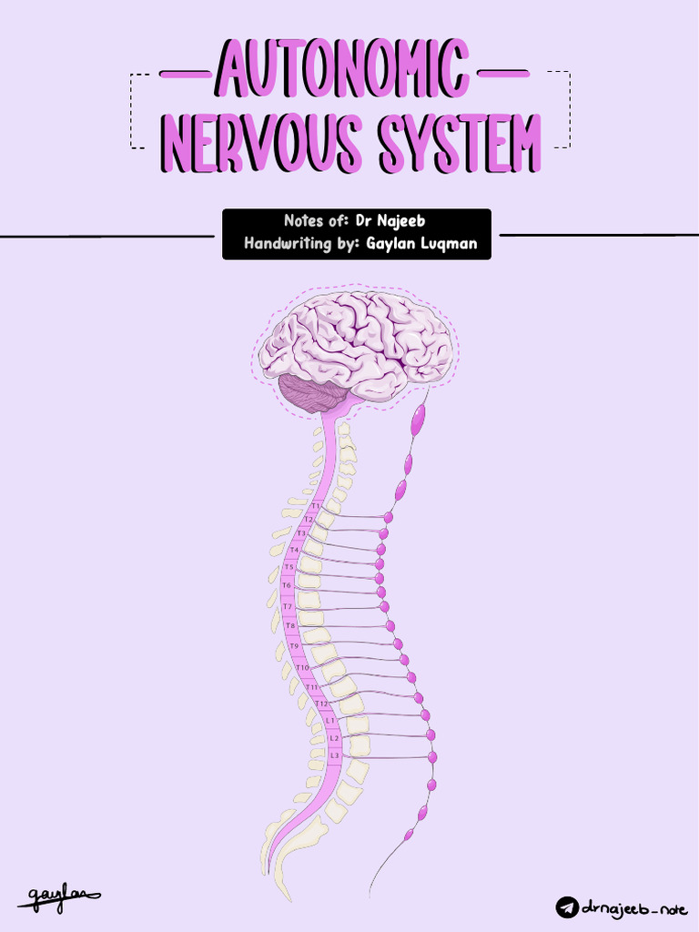 Autonomic Nervous System | PDF