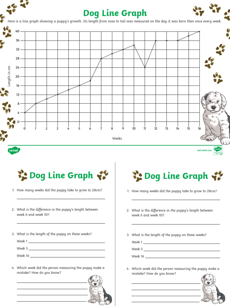 t m 1737028048 Interpreting Line Graphs Activity Sheet Ver 3 | PDF ...