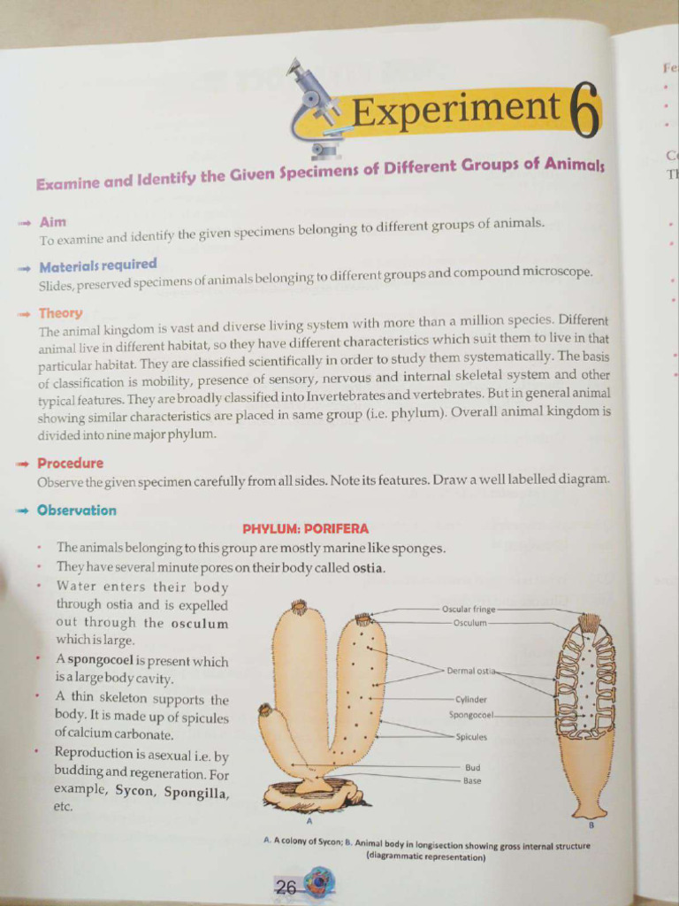 Experiment 6 - 10 | PDF