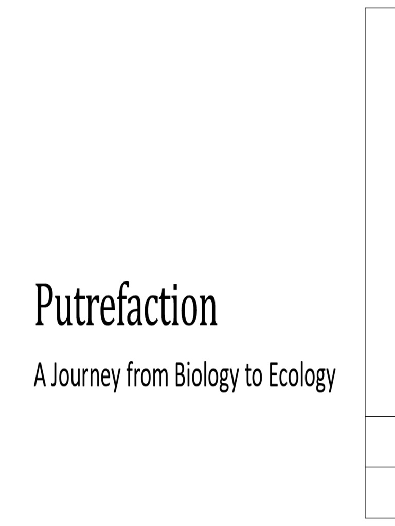 Putrefactive Changes 2026 - For STUDENTS-B | PDF | Decomposition