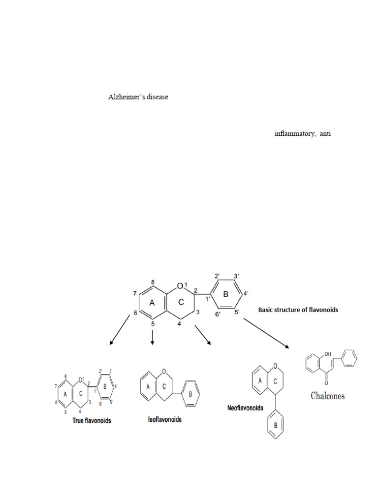 Biosynthesis of flavonoids | PDF | Flavonoid | Antioxidant