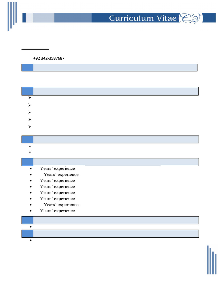 Cv Formate New 02 | PDF