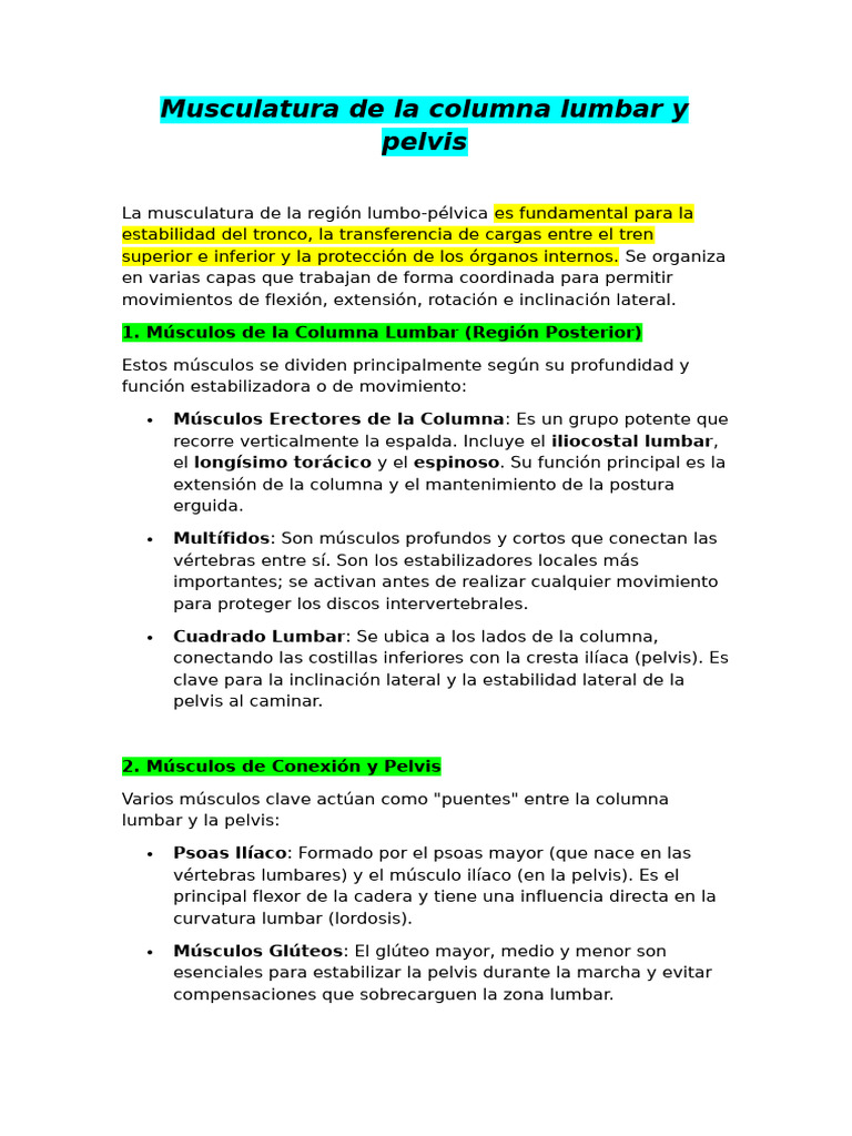 Musculatura de La Columna Lumbar y Pelvis | PDF | Pelvis | Abdomen