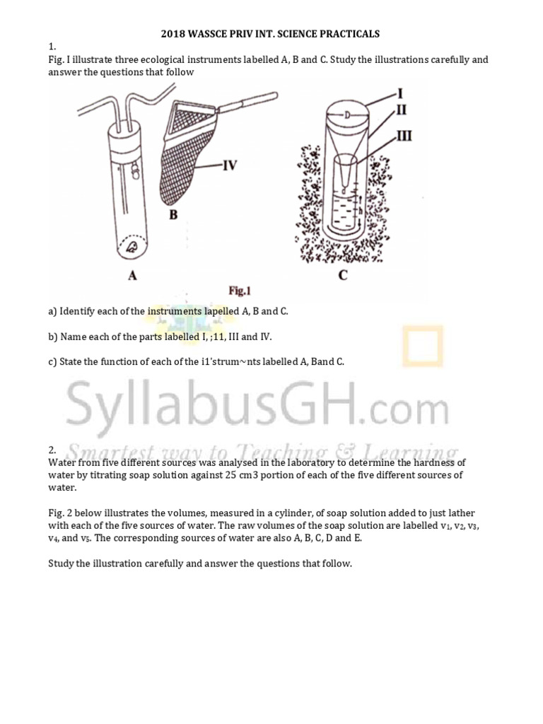 INT. SCIENCE PRACTICALS | PDF | Visual Cortex