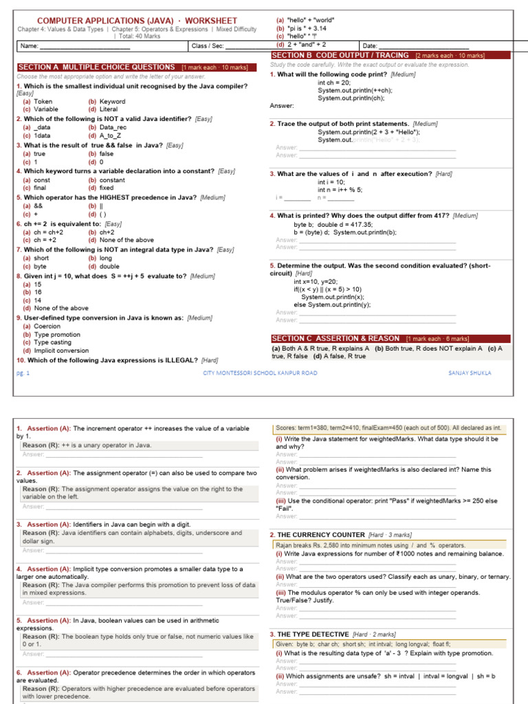 Values and Data Type and Operator Easy Worksheet | PDF | Boolean Data ...