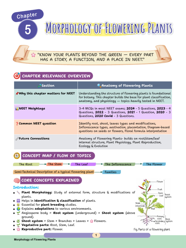 083) Morphology of Flowering Plants (Botany) MS | PDF | Leaf | Seed