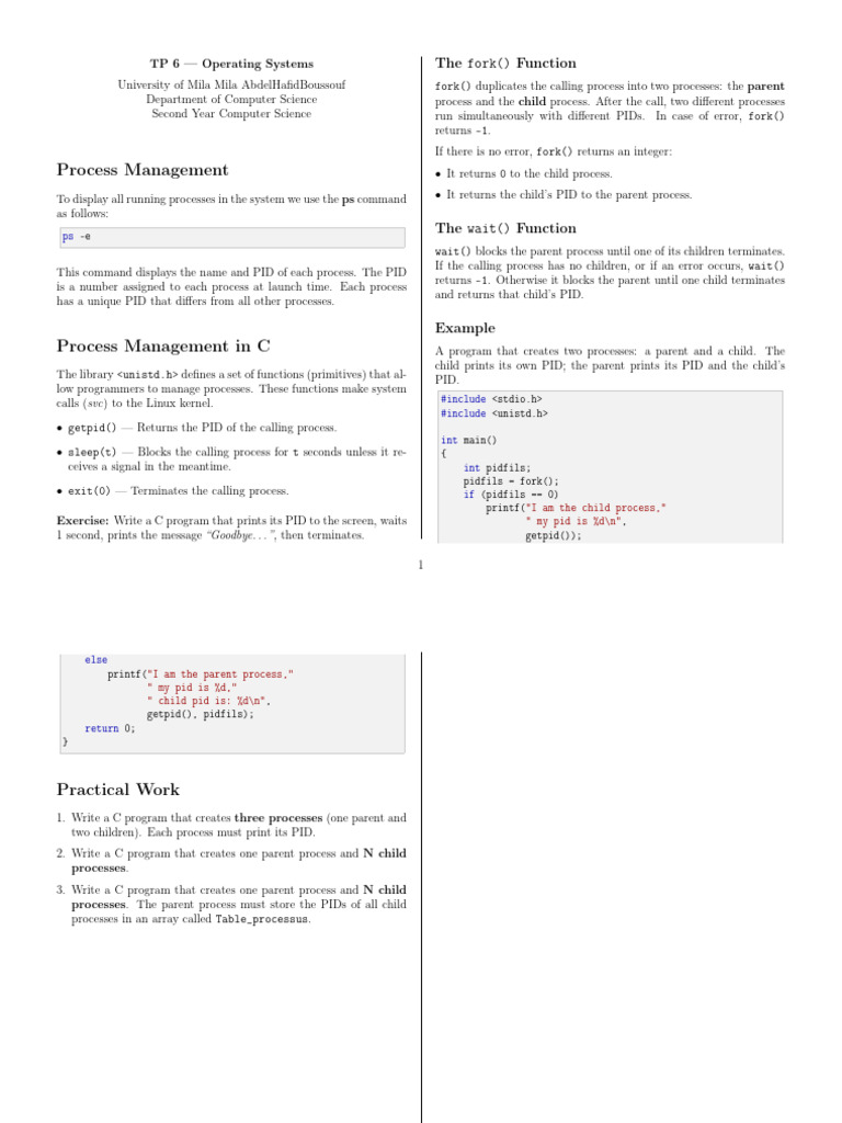 TP06 | PDF | Computer Science | System Software
