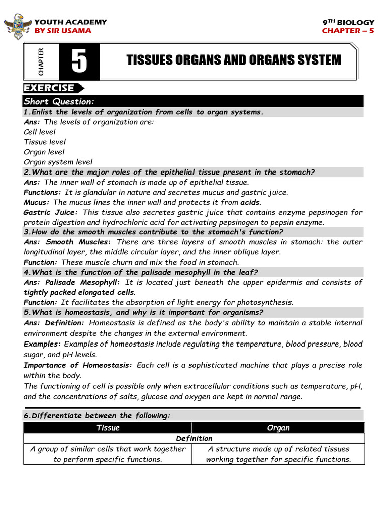 9th Biology Chapter No 5 | PDF | Leaf | Tissue (Biology)