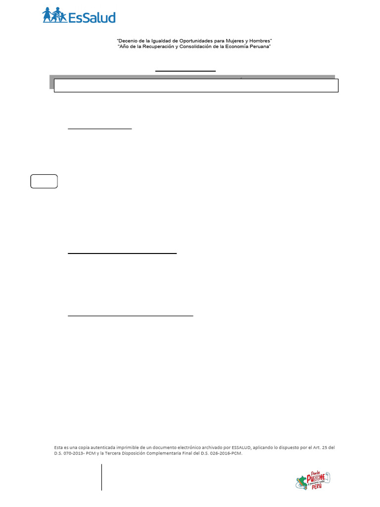 Formato 06 Practicas Adm 2025 | PDF