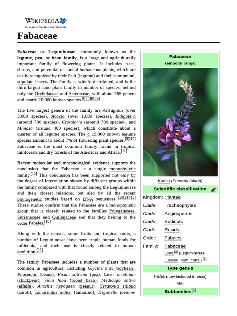 Fabaceae | PDF | Plants | Botany