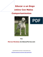 Como Educar A Un Dogo Argentino Con Malos Comportamientos