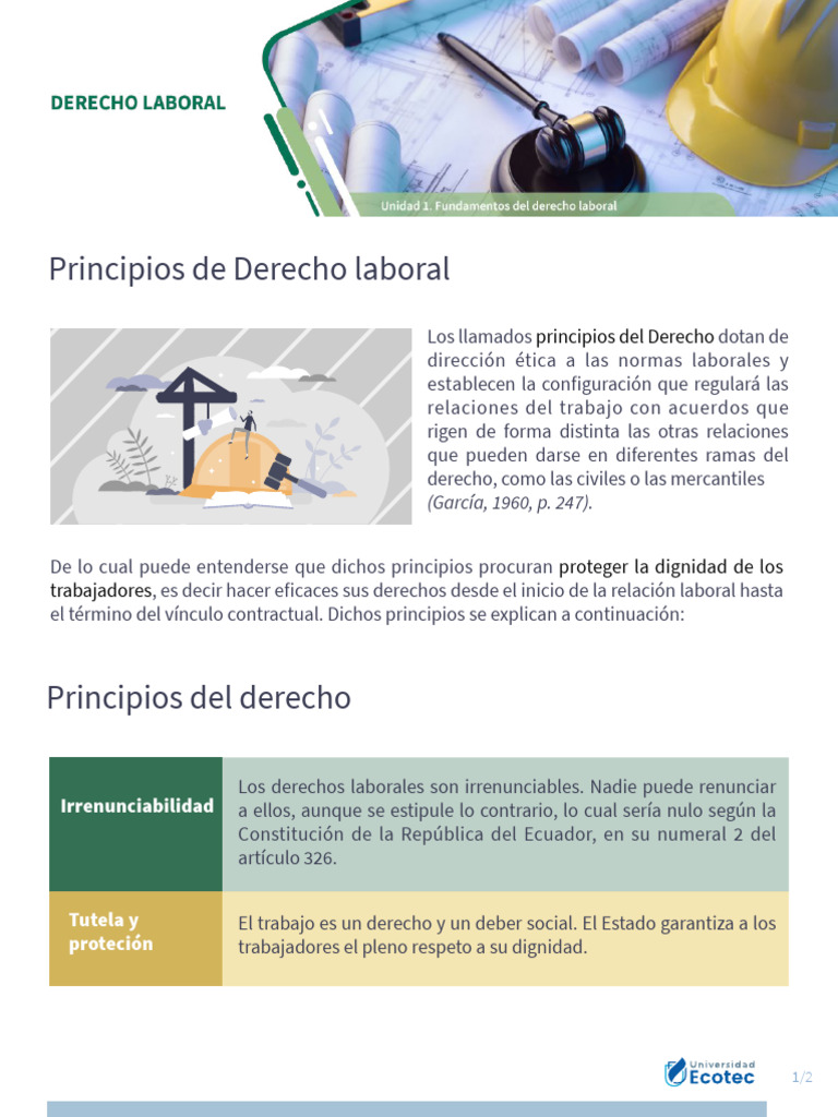 02 Principios Del Derecho Laboral | PDF | Derecho laboral | Gobierno