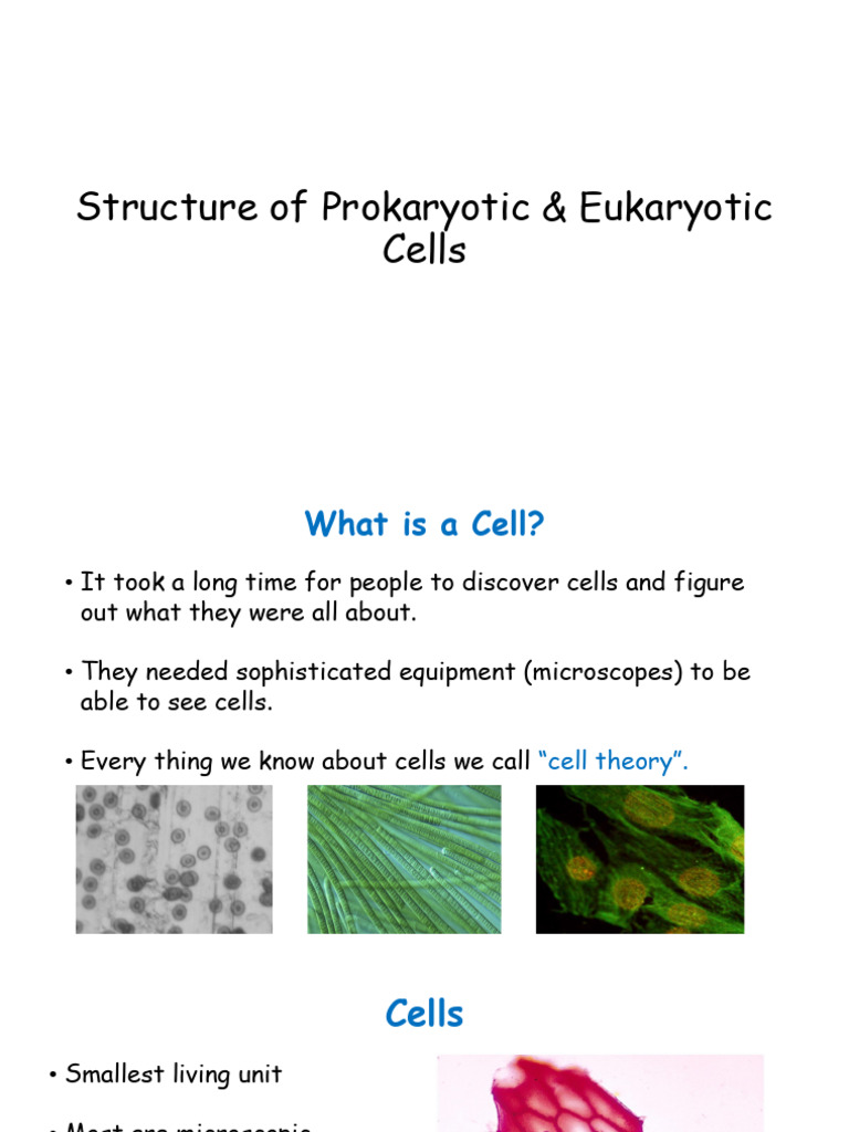 Prokaryotic and Eukaryotic Cell | PDF | Cell (Biology) | Eukaryotes