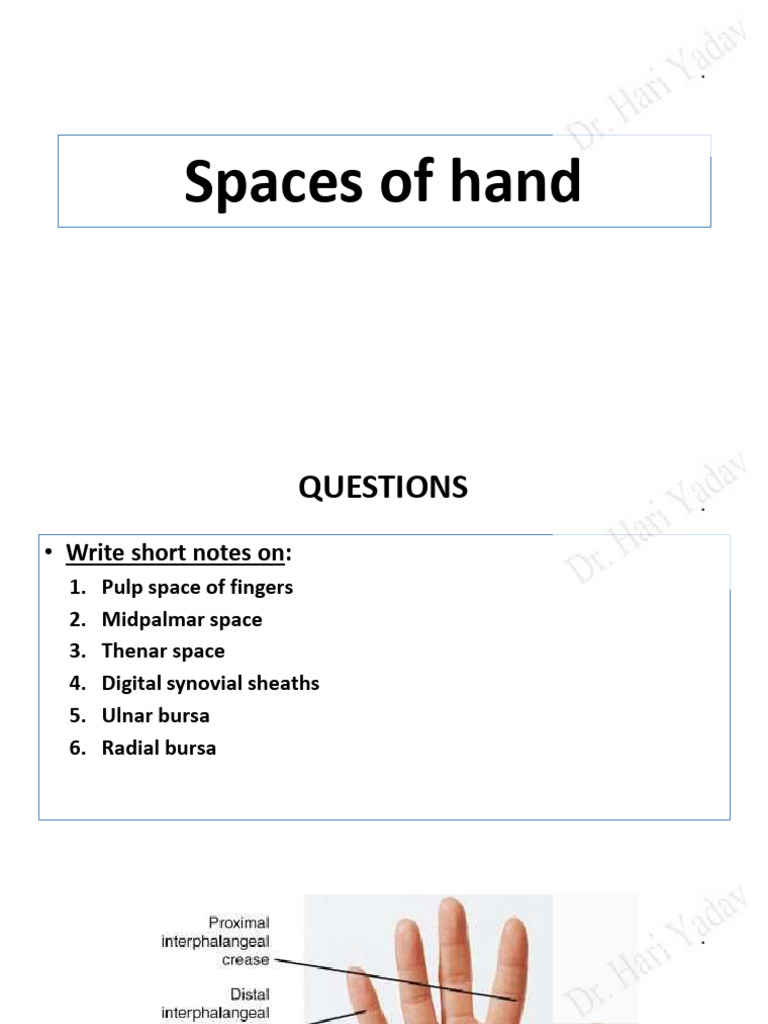 Spaces of Hand PPT - Watermark | PDF | Thumb | Hand