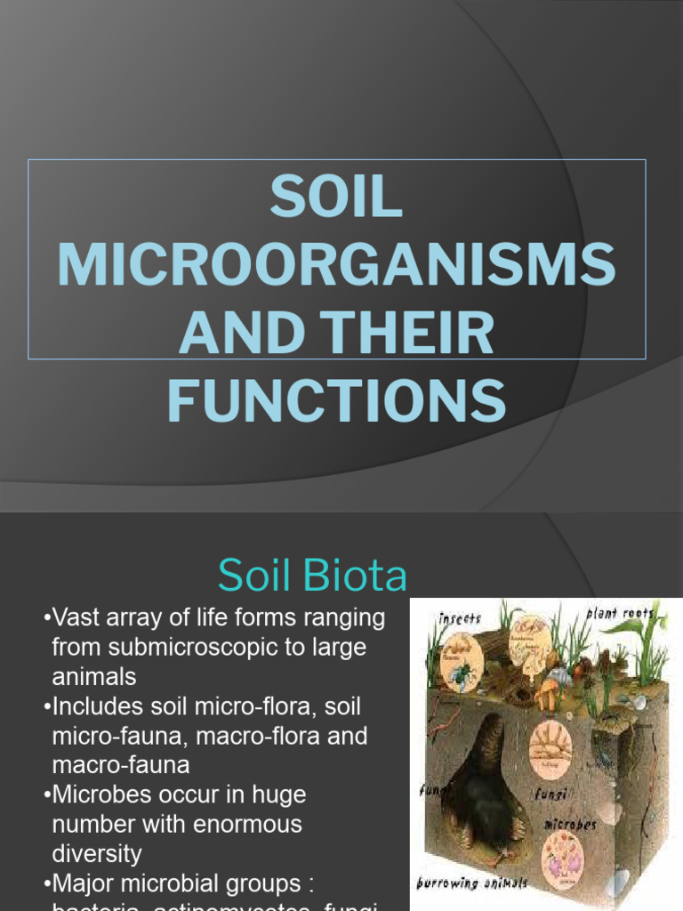 Soil Microorganisms and Their Functions.pptx | PDF | Soil | Microorganism