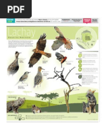 Reserva Natural Lachay Peru