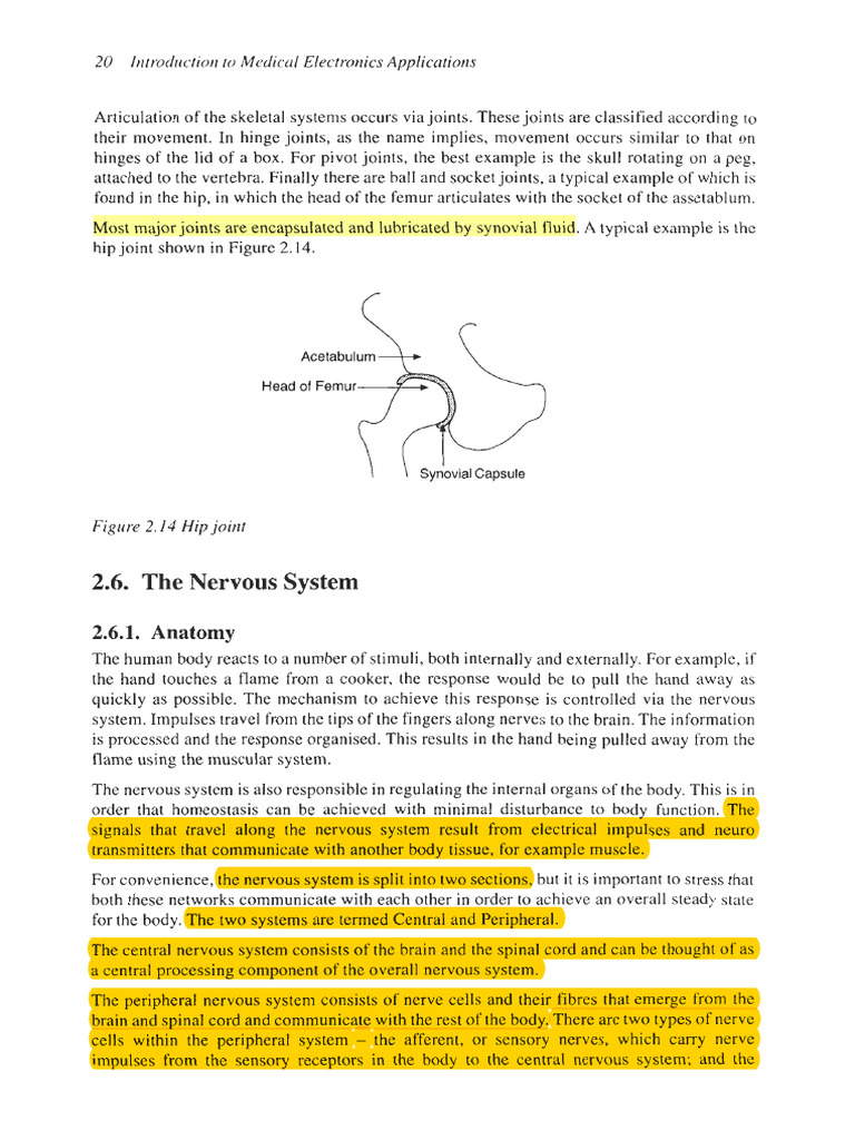 _anatomy of brain and spinal cord | PDF | Spinal Cord | Central Nervous ...