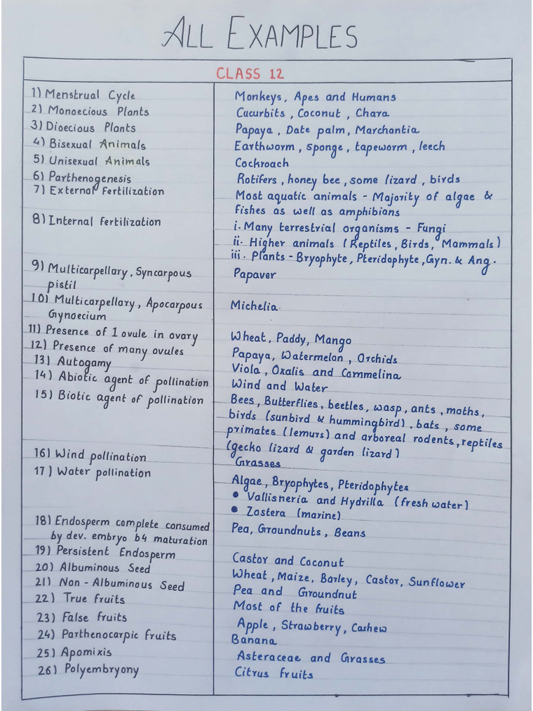 All Examples ? | PDF