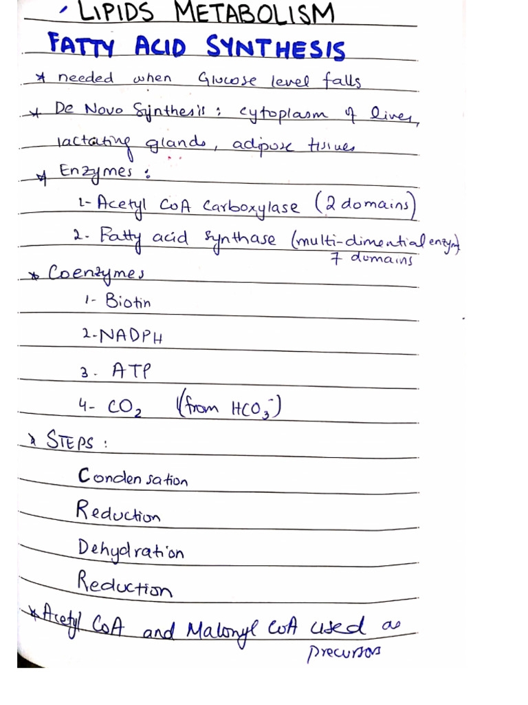 Biochemistry Lipid Metabolism | PDF