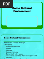 11 Socio Cultural (Chap. 7)