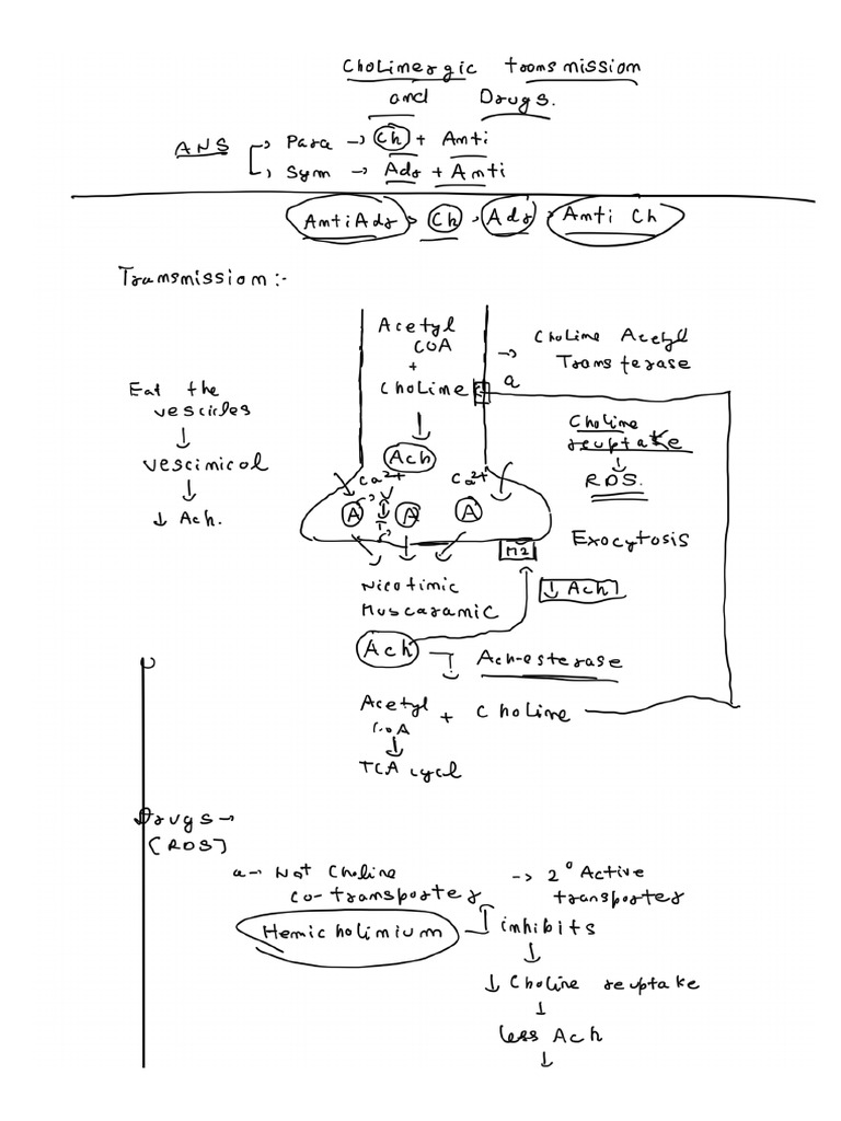 New Note 5 | PDF