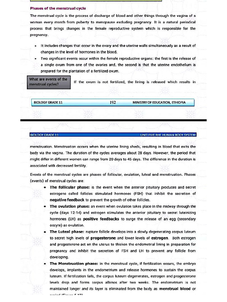 New Doc 1 | PDF