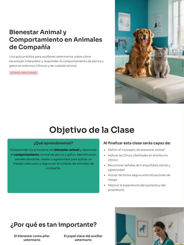 Bienestar Animal y Comportamiento en Animales de Compania | PDF ...