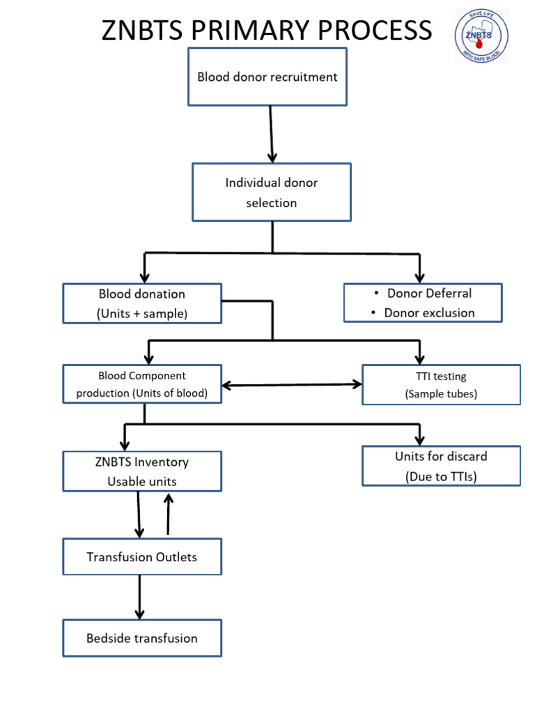 Znbts Primary Process_diagram | PDF