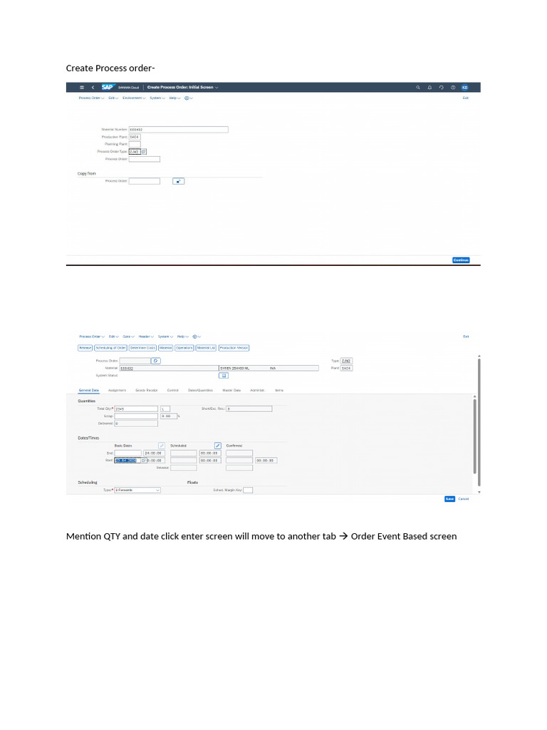 Create Process Order | PDF
