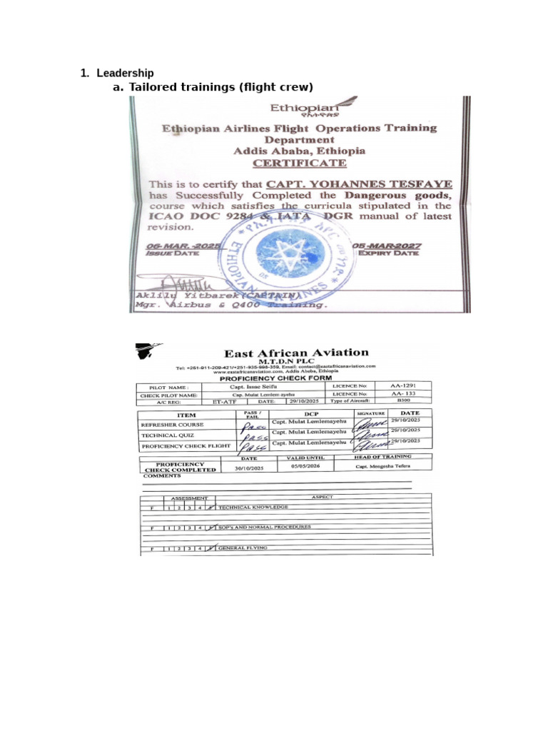 EQA Assessment Flight OPS | PDF