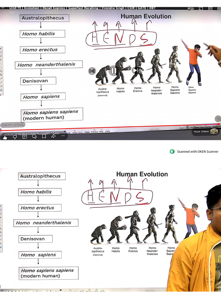 Evolution Part 3 | PDF