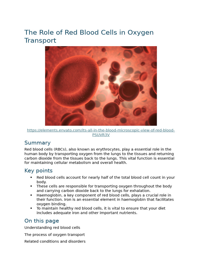 The Role of Red Blood Cells in Oxygen Transport - 19DEC SR | PDF | Red ...