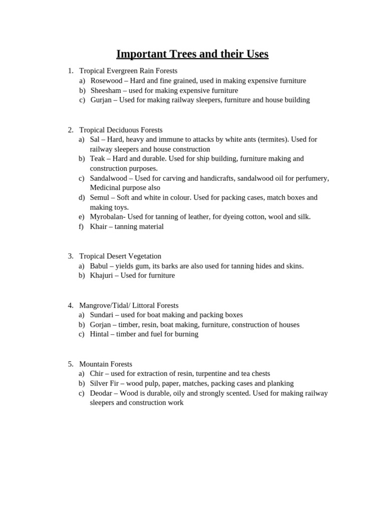 1751798700858 Important Trees and Their Uses (2) | PDF