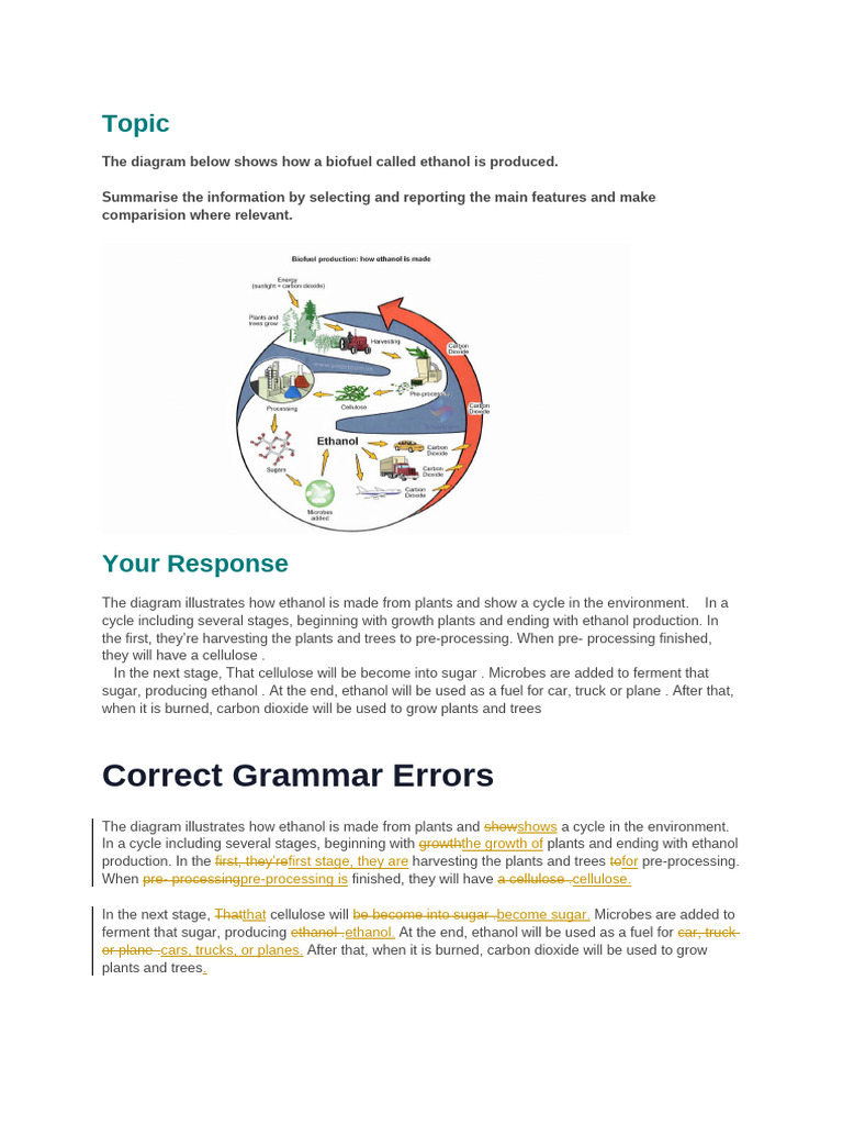 Phi Long IELTS Writing Task 1 (Academic) Score 5 | PDF | Biofuel | Ethanol